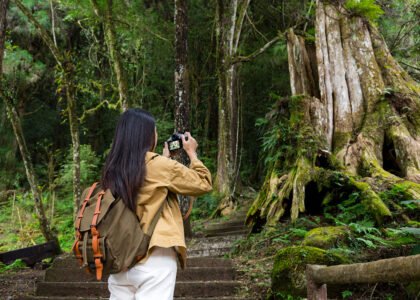 Children exploring marine life at SEA LIFE Bangkok Ocean World aquarium