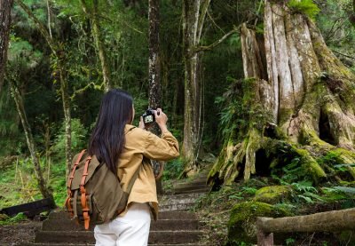 Children exploring marine life at SEA LIFE Bangkok Ocean World aquarium